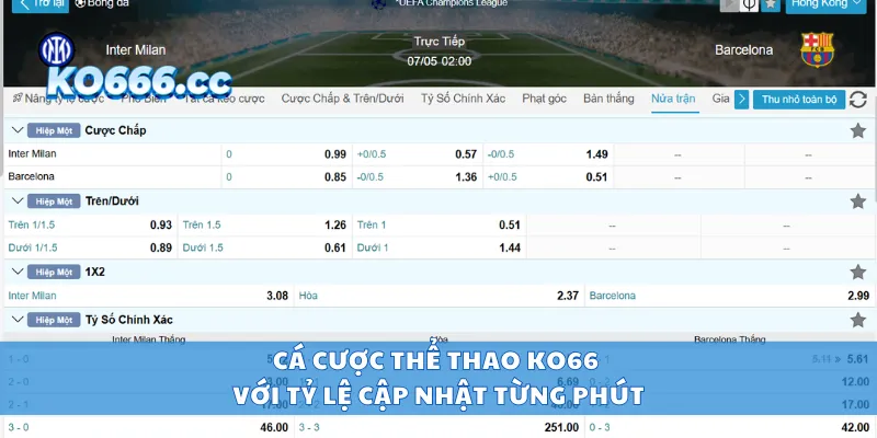Cá cược thể thao KO66 với tỷ lệ cập nhật từng phút