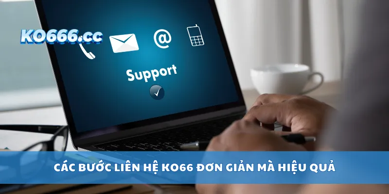 Các bước liên hệ KO66 đơn giản mà hiệu quả