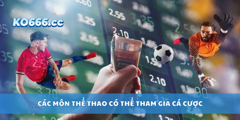 Các môn thể thao có thể tham gia cá cược